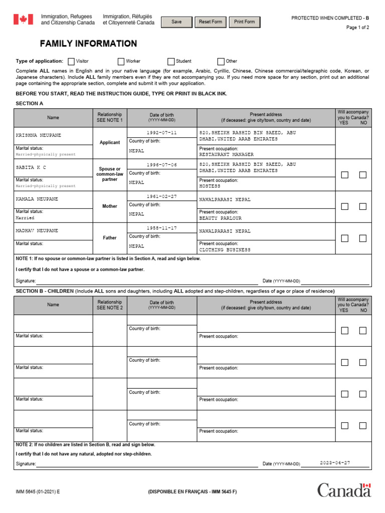 IMM 5645E Family Information Form | PDF