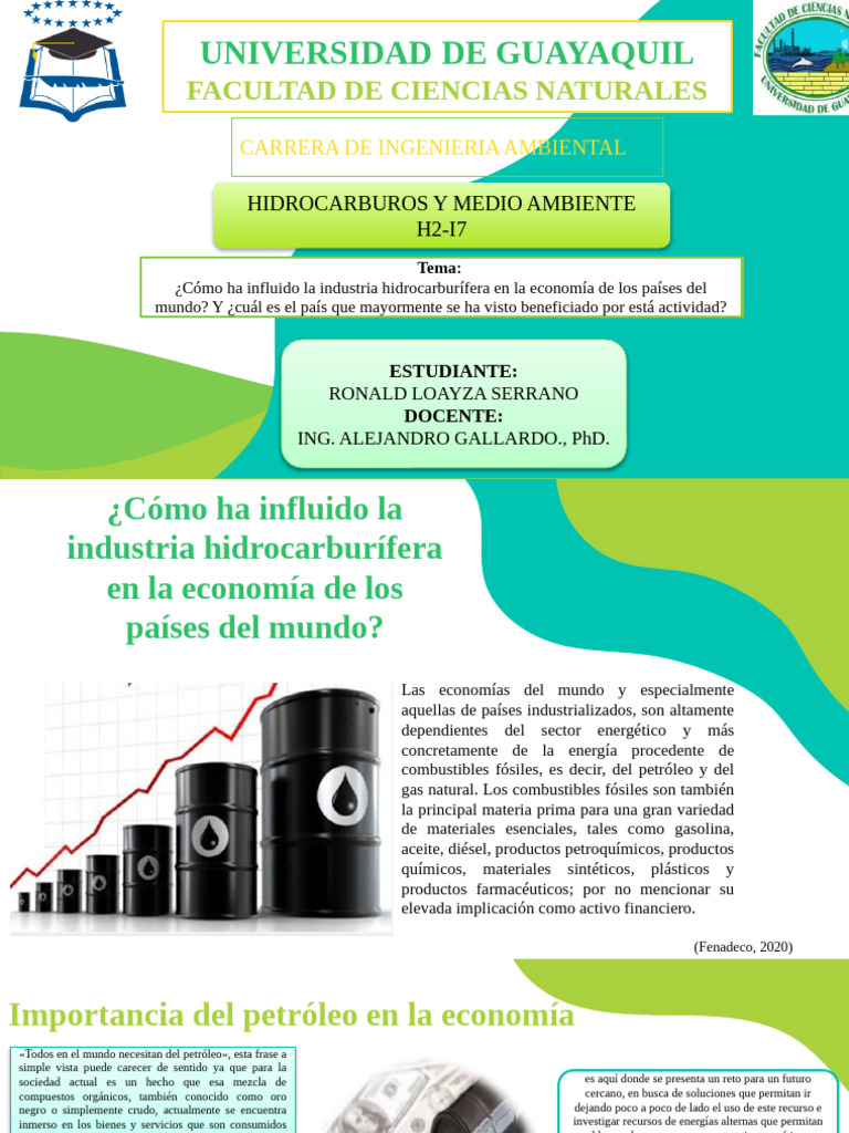 Impacto de Hidrocarburos en Economías Globales | PDF | Petróleo | OPEP