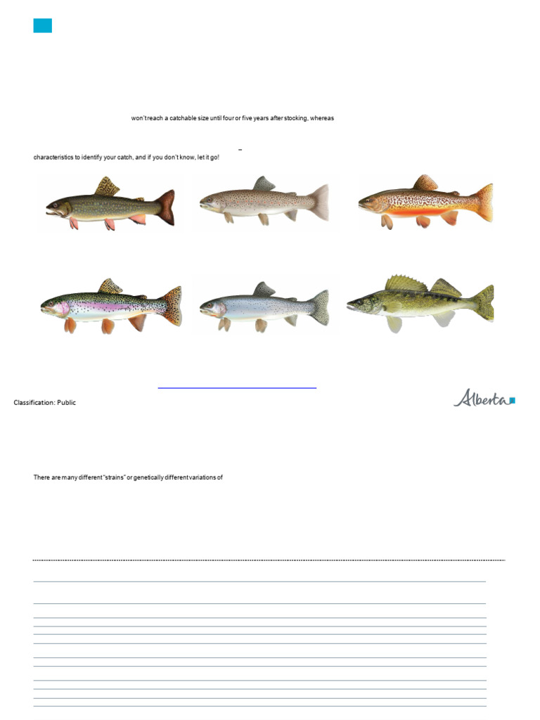 Epa Alberta Fish Stocking Report 2024 | PDF | Trout | Ploidy
