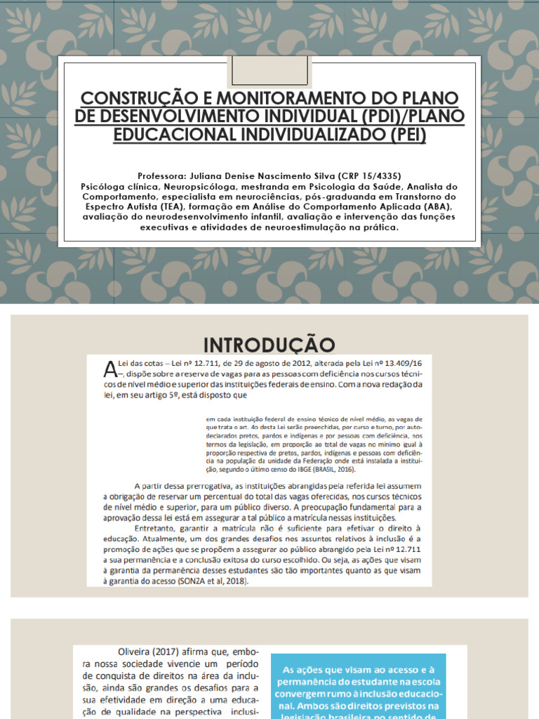 Plano de Desenvolvimento Individual e Monitoramento | PDF