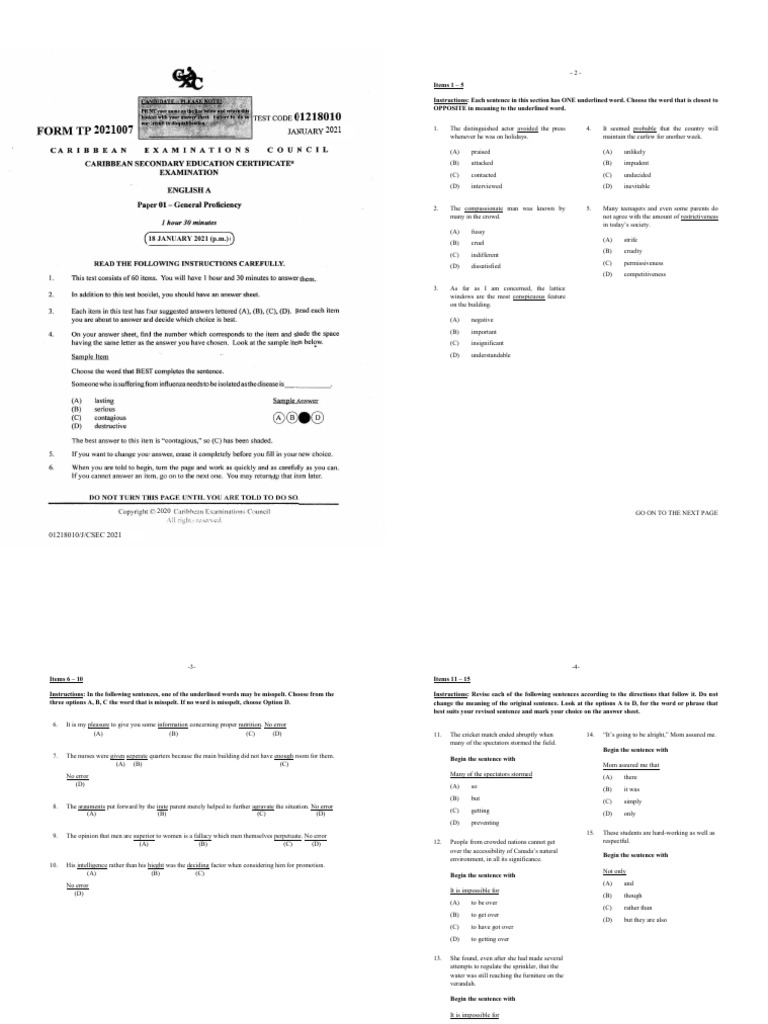 Vocabulary and Grammar Practice Test | PDF