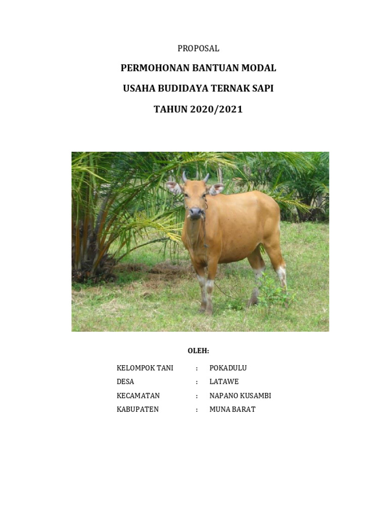 Proposal Bantuan Modal Ternak Sapi 2021 | PDF