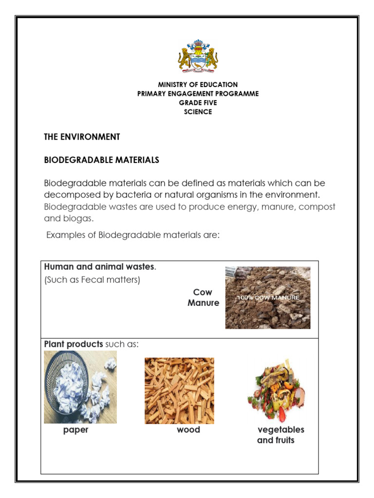 Biodegradable vs Non-Biodegradable Waste | PDF | Tide | Waste