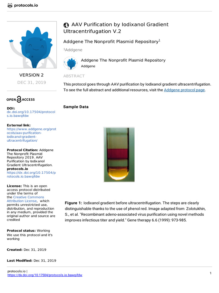 AAV Purification by Iodixanol Gradient Ultracentri | PDF ...