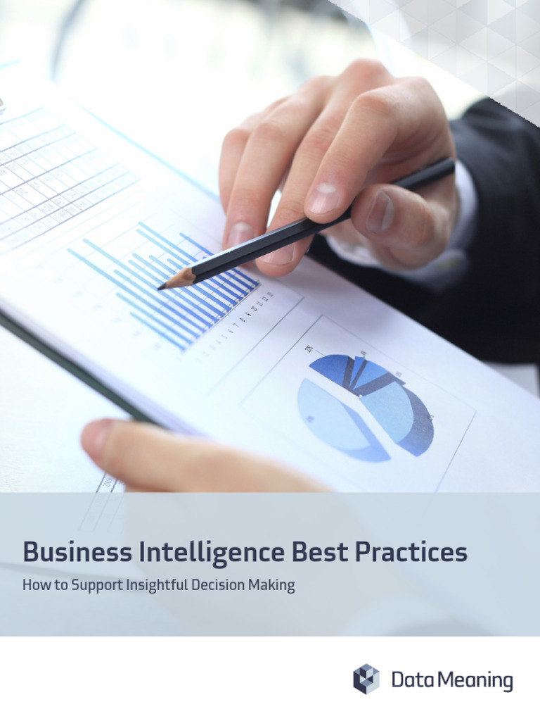 Best Practices for Business Intelligence | PDF | Business Intelligence ...