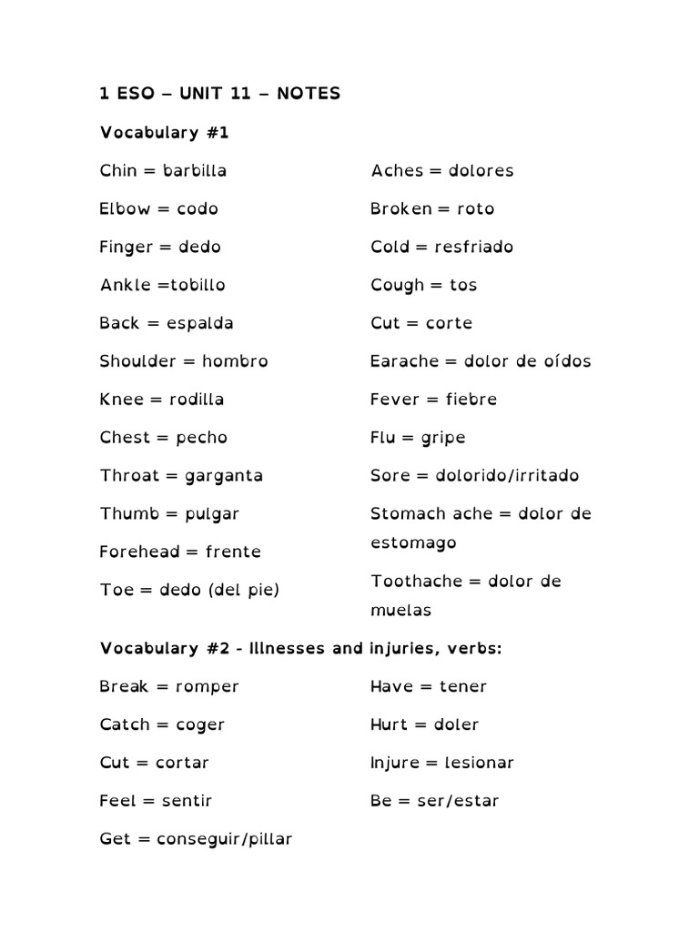 1 ESO Unit 11 Notes | PDF