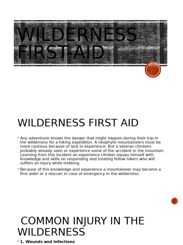 Essential Wilderness First Aid Guide | PDF | Burn | Dehydration