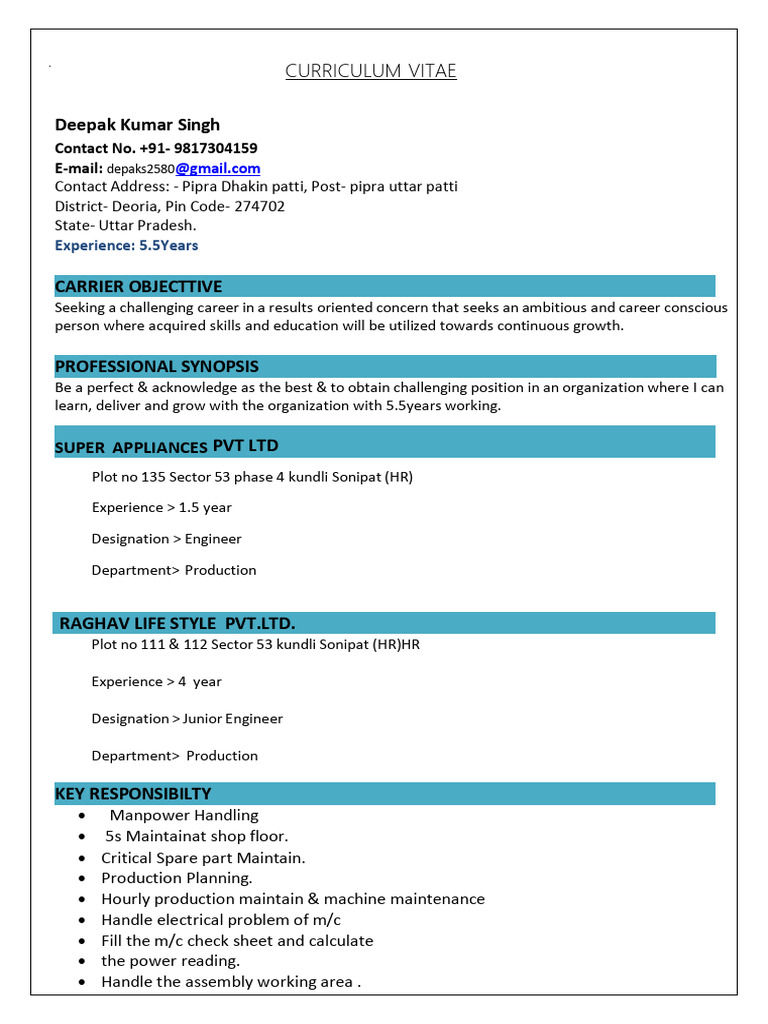 Deepak Kumar Singh - CV Overview | PDF