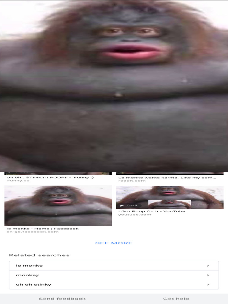 Le Monke Meme Explained | PDF