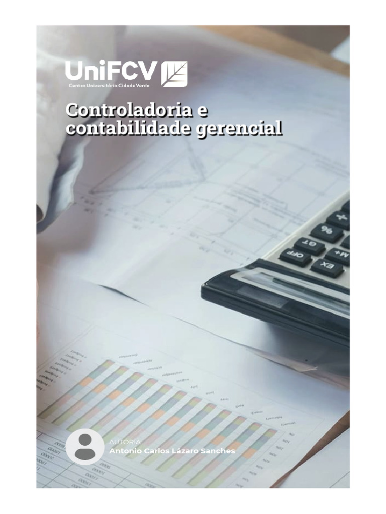 Importância da Controladoria e Contabilidade | PDF | Planejamento ...