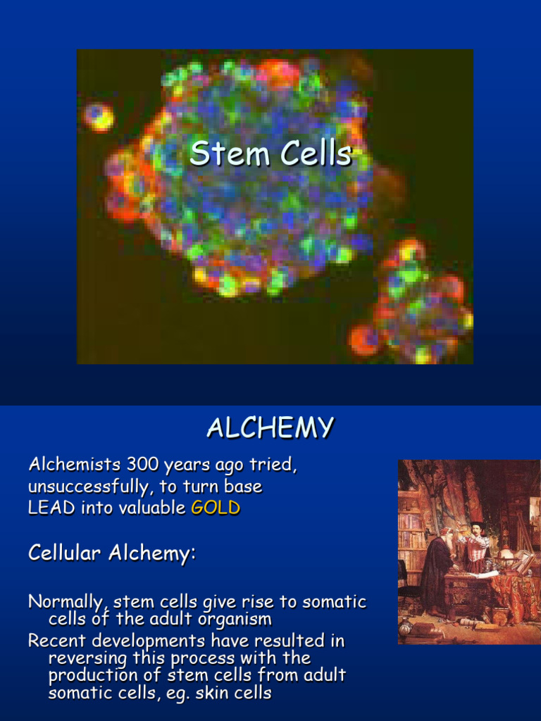 The Alchemy of Induced Pluripotent Stem C | PDF | Cell Potency | Stem Cell