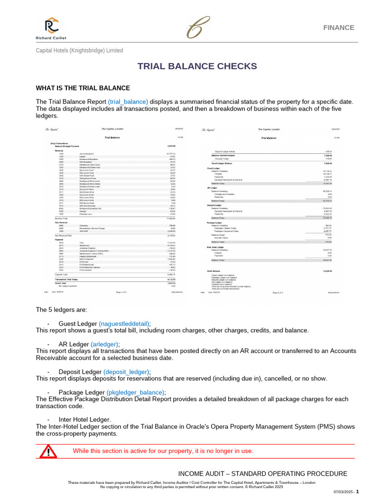 Trial Balance Checks for Hotels | PDF | Accounting | Financial Services
