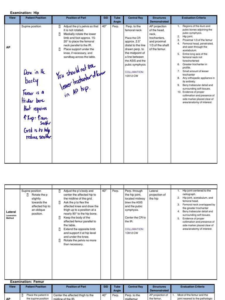Completed Femur (And Hip) Positioning Chart | PDF