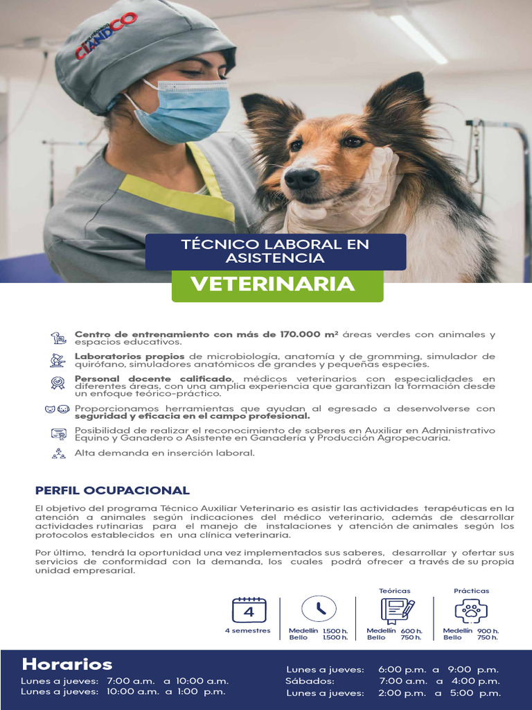Horarios y Programa Técnico Veterinario | PDF | Medicina Veterinaria ...