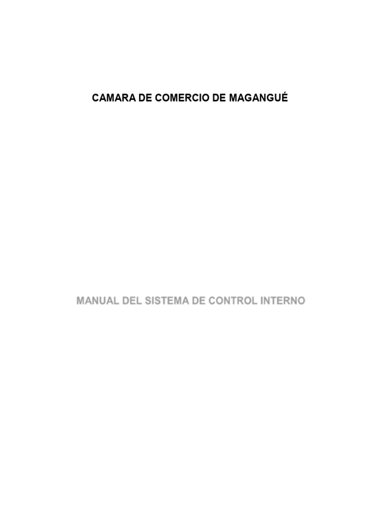 Manual Del Sistema de Control Interno CCM | PDF | Riesgo | Contabilidad