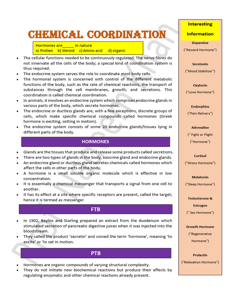Endocrine System Overview and Hormones | PDF | Luteinizing Hormone ...