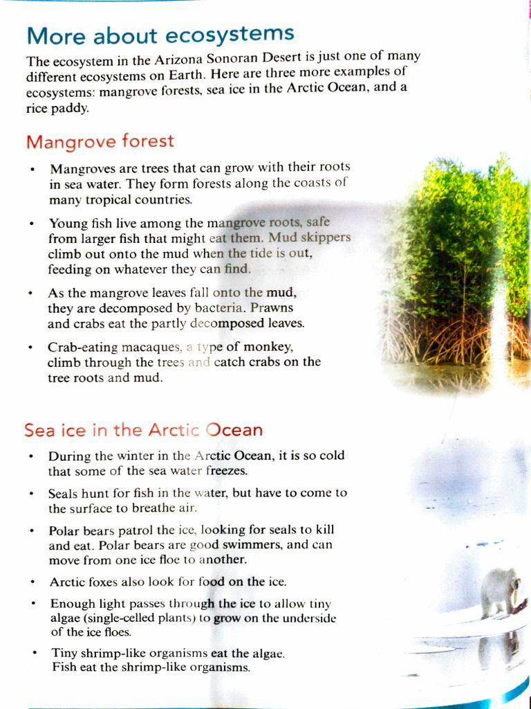 Adobe Scan 07 Mar 2025 | PDF