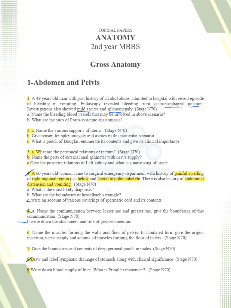 Anatomy Questions for 2nd Year MBBS | PDF | Common Carotid Artery ...