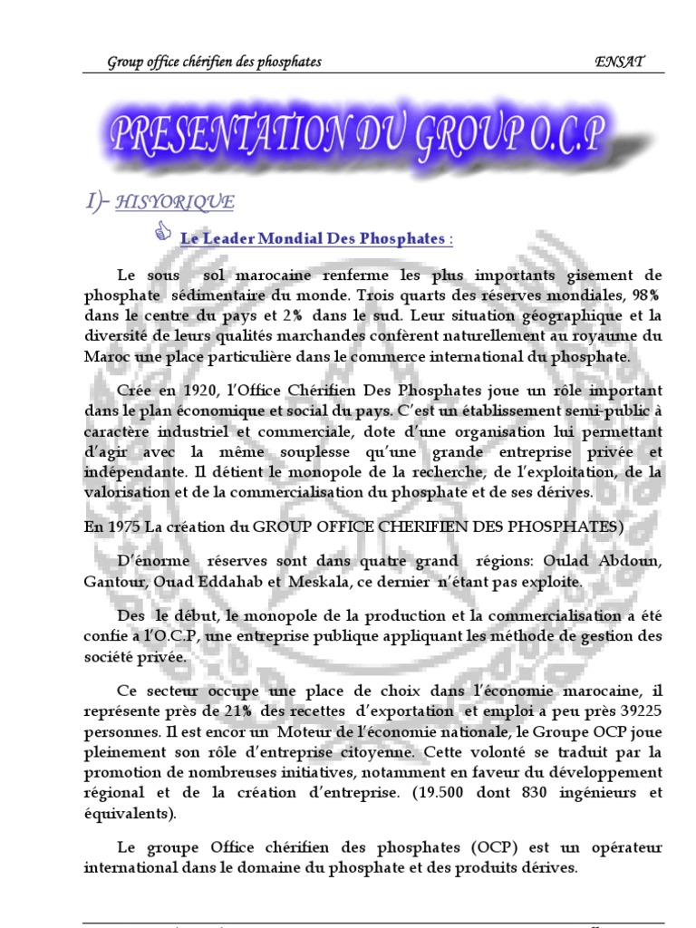 Rapport de Stage Finale  PDF  Chaudière  Chimie
