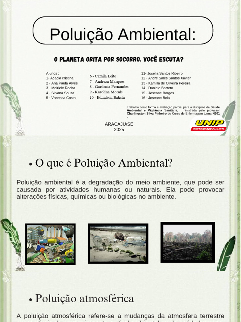 Causas e Efeitos da Poluição Ambiental | PDF | Poluição | Ambiente natural