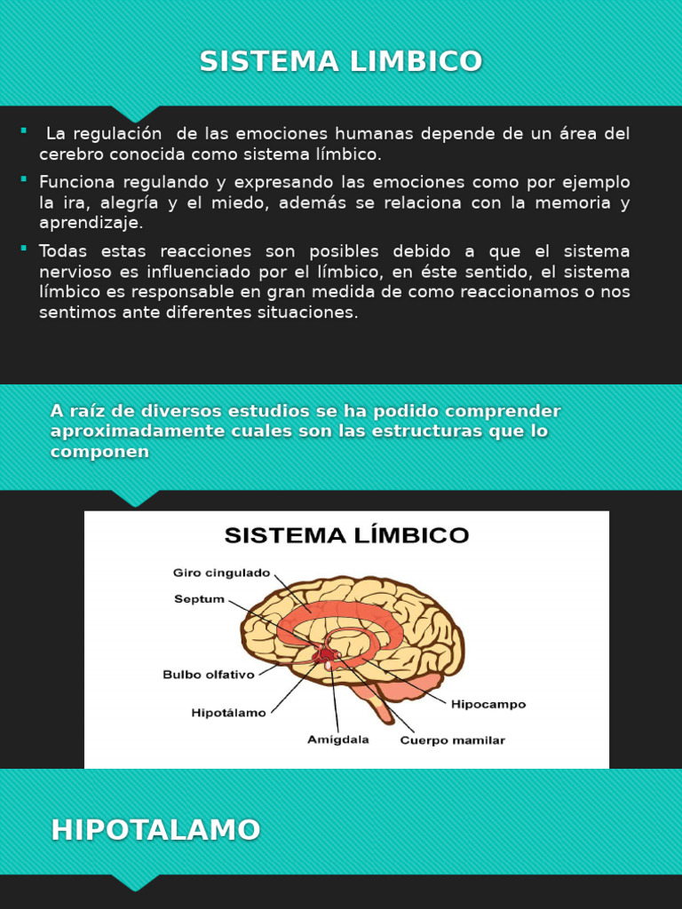 Funciones del Sistema Límbico en Emociones | PDF