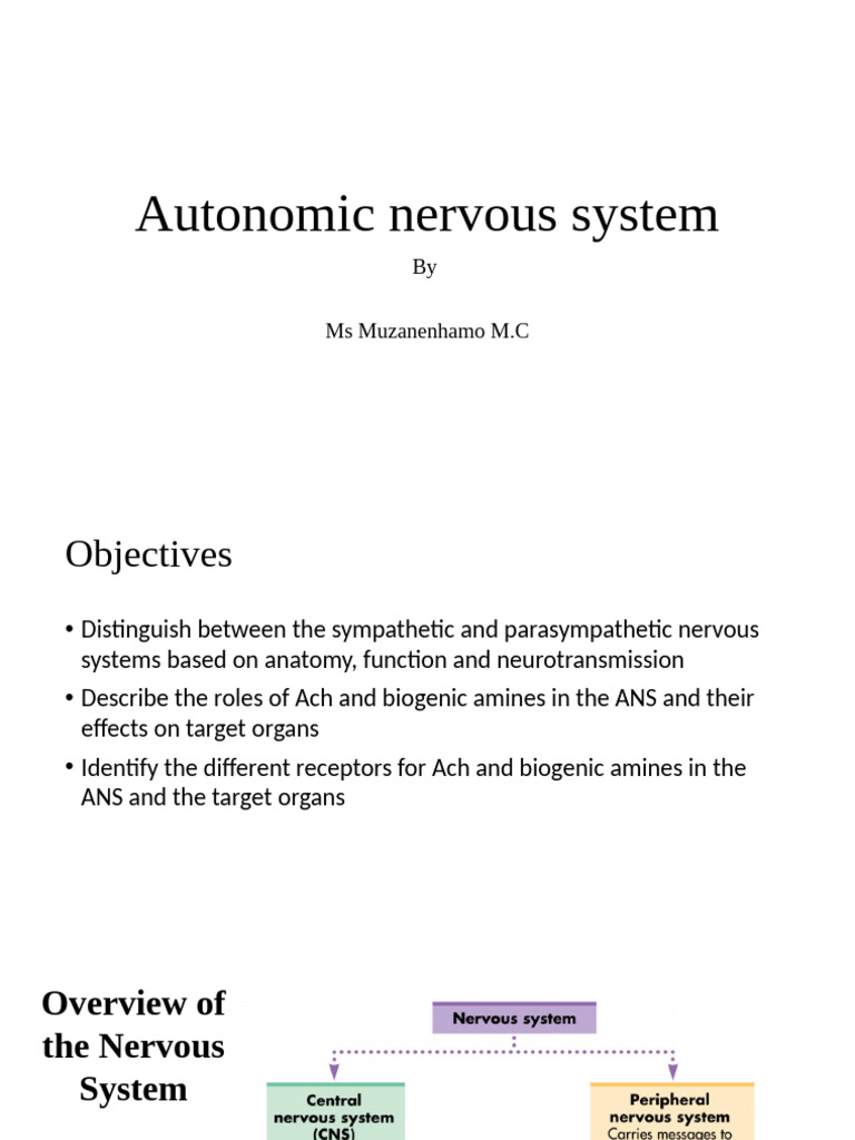 Autonomic Nervous System Overview | PDF | Acetylcholine | Autonomic ...