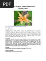 Download tugas bu winda by Anitha Qliquerspenguasahatiku SN83662594 doc pdf