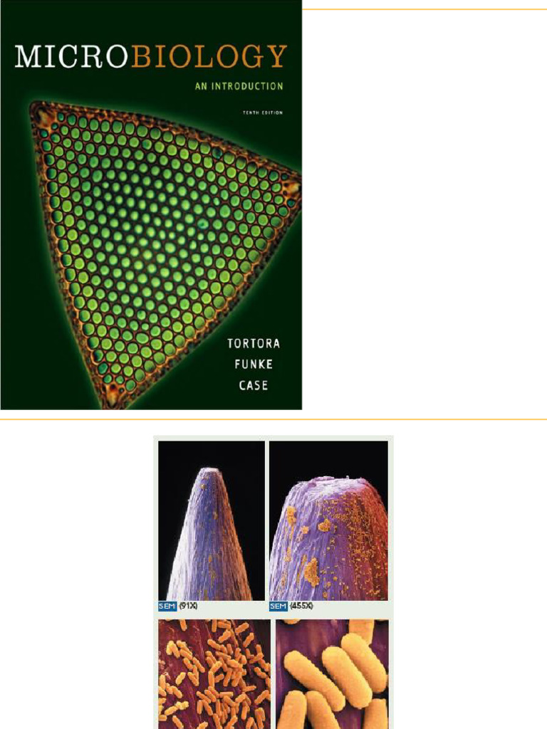 Microscopy Staining Techniques Overview | PDF | Staining | Microscope