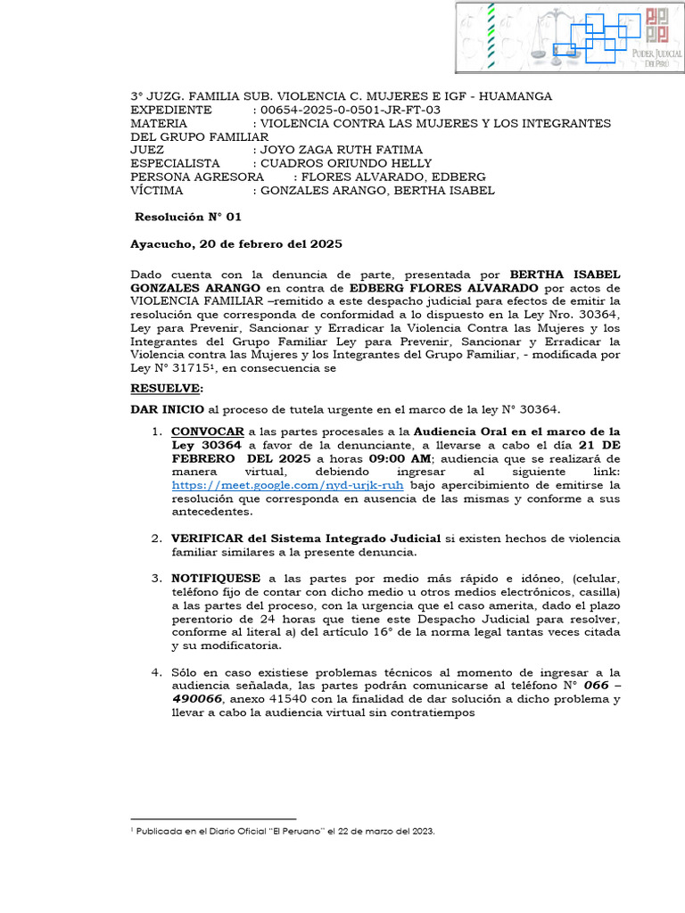 Proceso Judicial por Violencia Familiar | PDF | Justicia | Crimen y ...