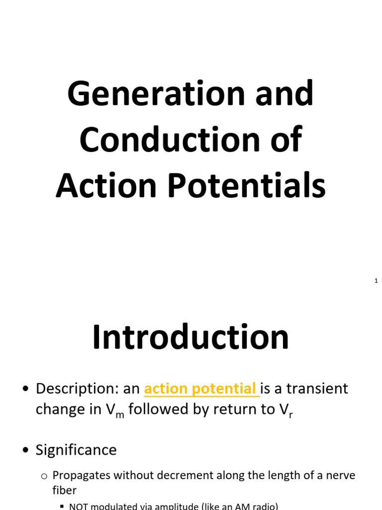 Understanding Action Potentials in Neurons | PDF | Action Potential ...