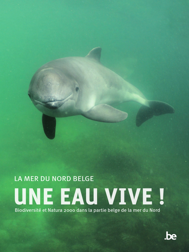 Biodiversité de la mer du Nord belge | PDF | Mer du Nord | Biodiversité