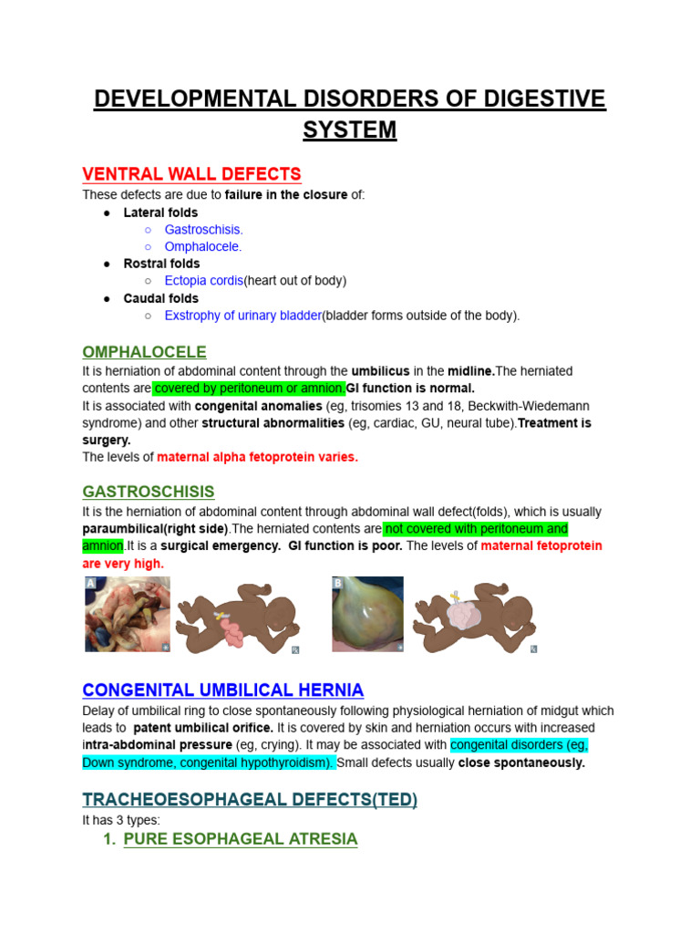 Developmental Disorders of the Digestive System | PDF ...