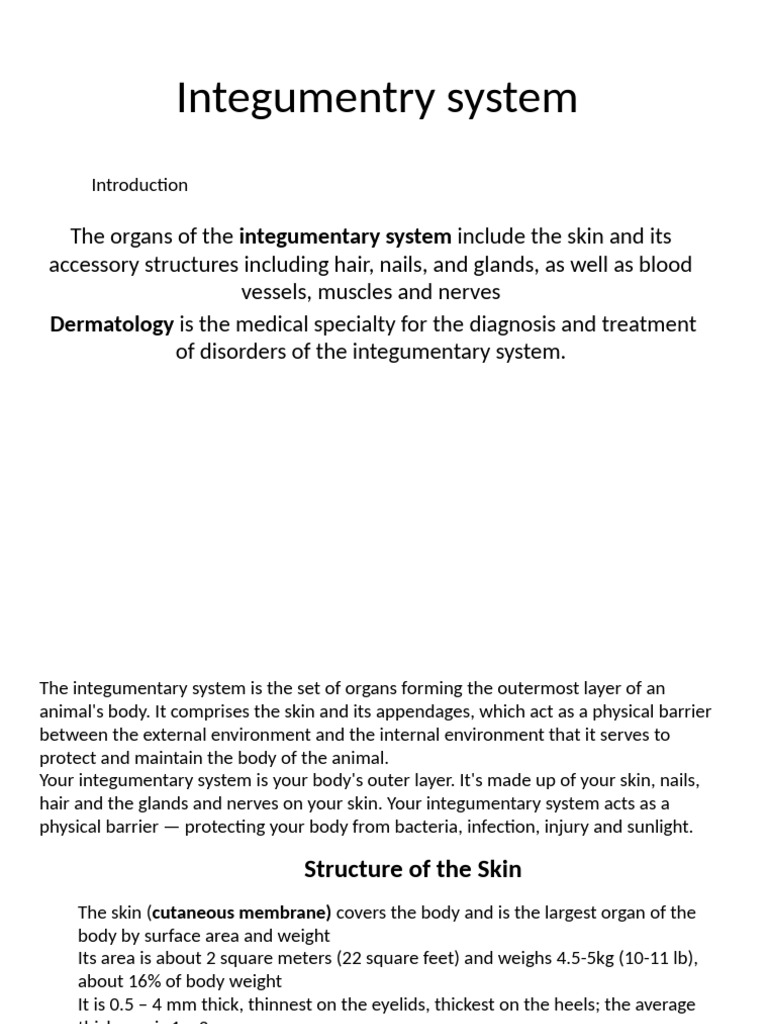 Integumentary System Overview and Functions | PDF | Nail (Anatomy) | Skin