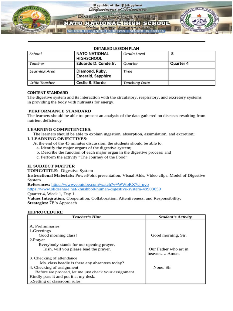 Digestive System Lesson Plan for 8th Grade | PDF | Digestion | Human ...