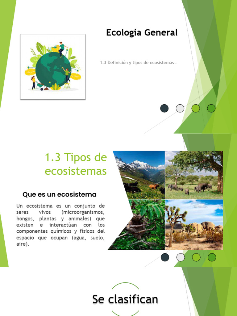 Tipos y Definición de Ecosistemas | PDF | Ecosistema | Ecología