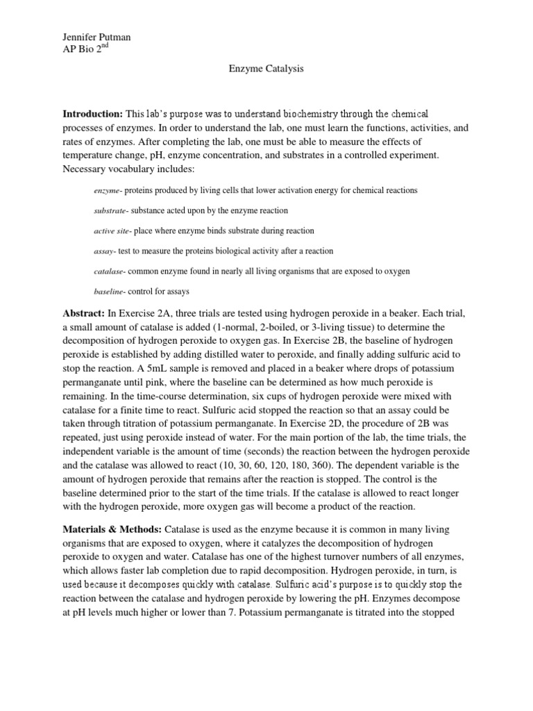 Enzyme Catalysis Lab Report Catalase Hydrogen Peroxide