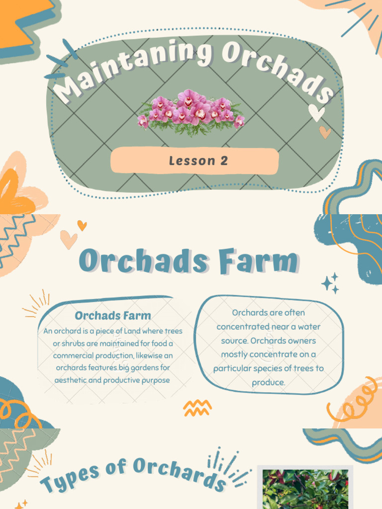 Types and Success of Orchard Farming | PDF | Orchard | Trees