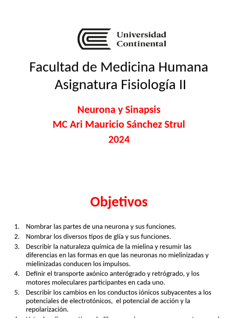 Neurona y Sinapsis | PDF | Potencial de acción | Axon