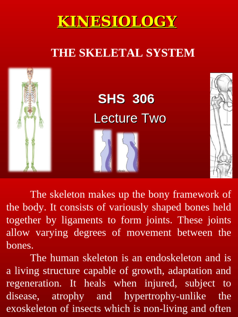 1586438854kinesiology Shs 306 Lecture Module 2 | PDF | Bone | Skeleton
