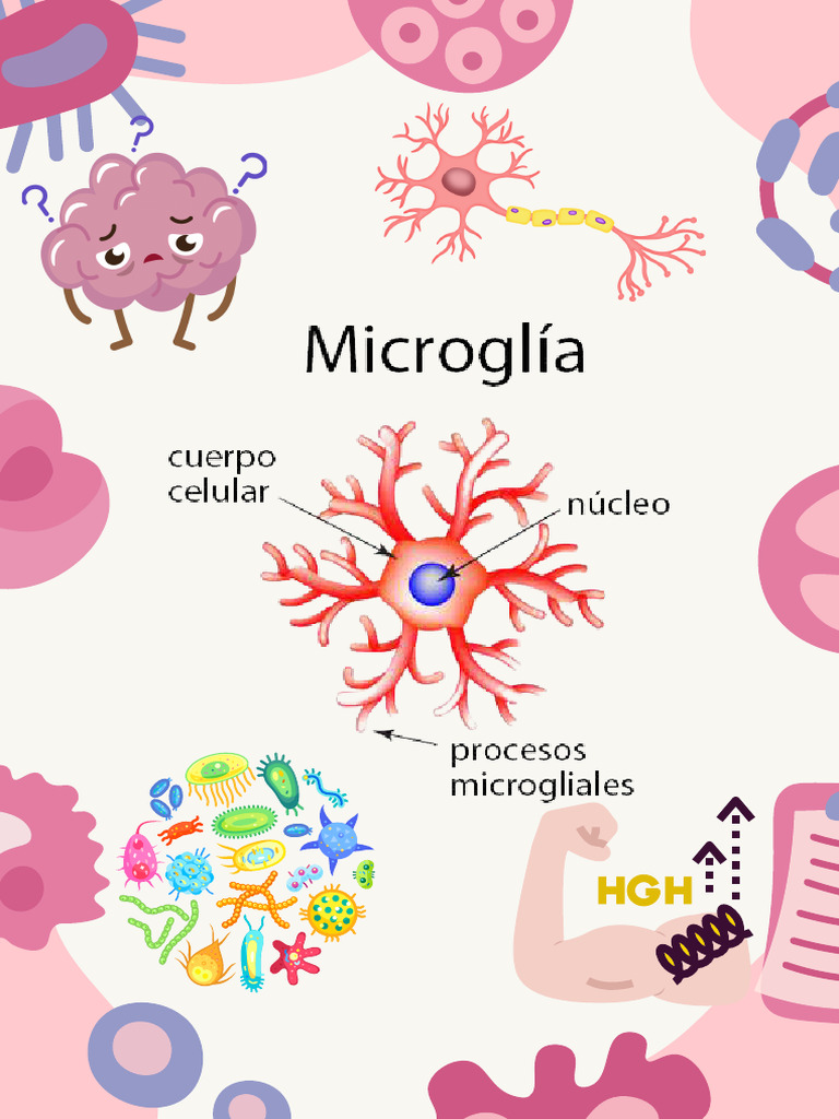 Microglías PDF | PDF