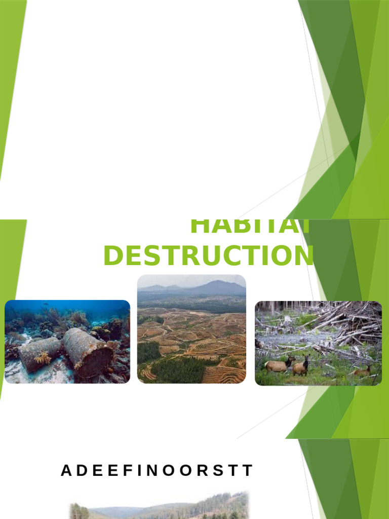 Habitat Destruction | PDF | Habitat Destruction | Biodiversity