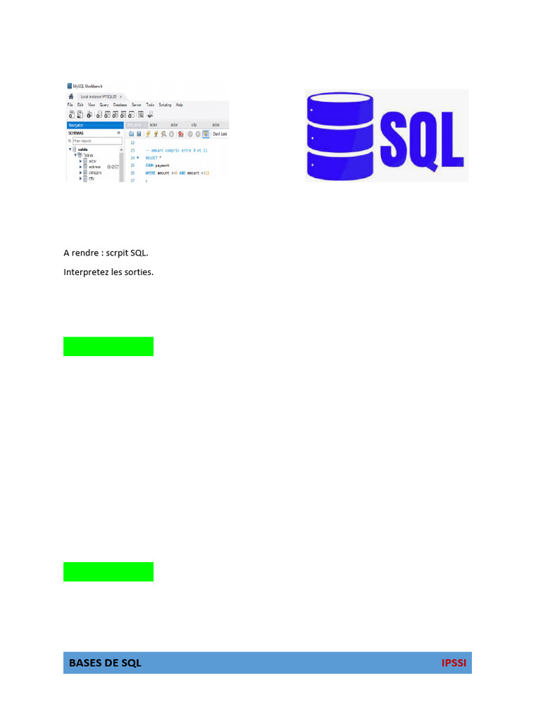 Exercices Pratiques de SQL avec Sakila | PDF