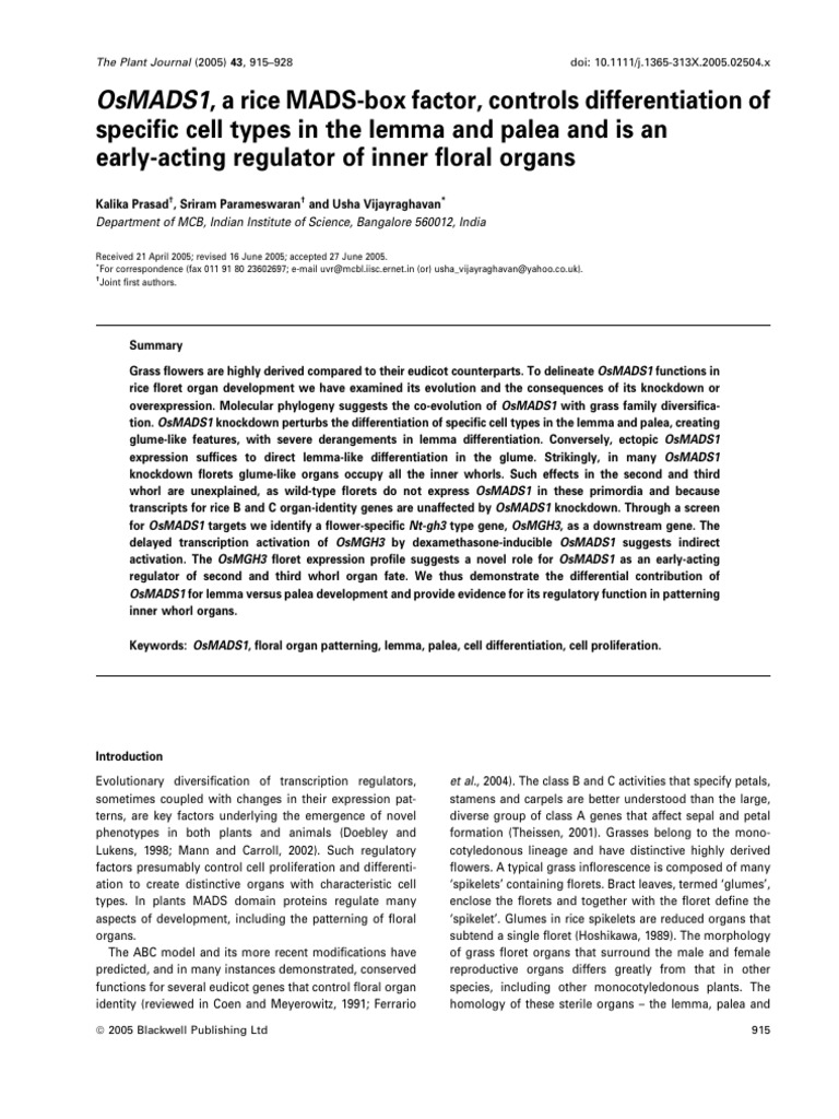 OsMADS1, A Rice MADS-box Factor, Controls Differentiation of | PDF ...