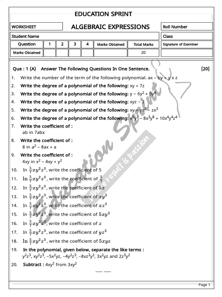 Algebraic Expressions Worksheet | PDF | Polynomial | Applied Mathematics