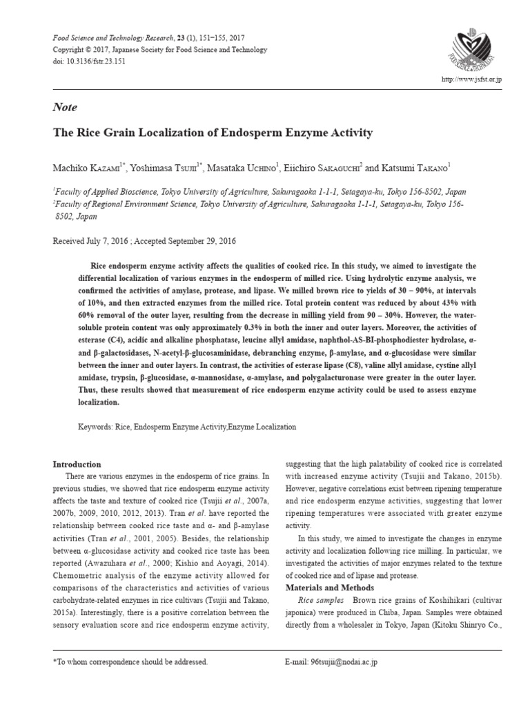 The Rice Grain Localization of Endosperm Enzyme Activity | PDF