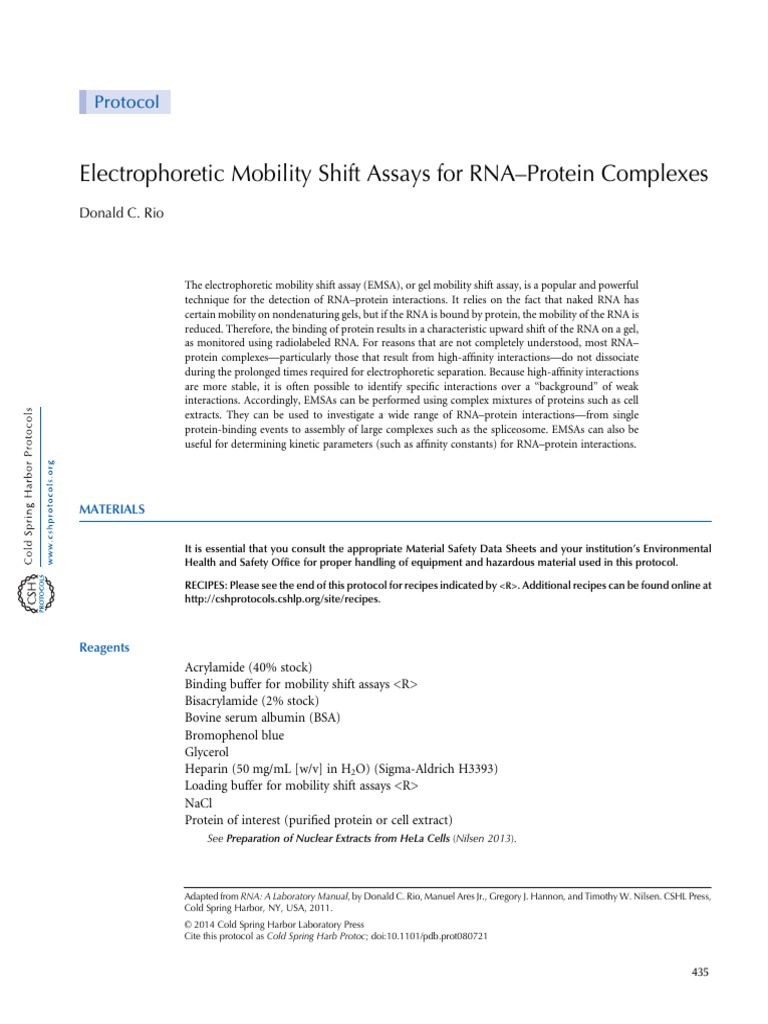 Cold Spring Harb Protoc-2014-Rio-pdb - Prot080721 | PDF | Gel ...