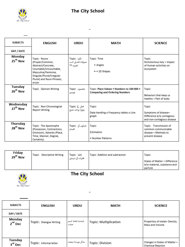 Class 4-C Revision Plan 2024-2025 | PDF | Noun | Grammatical Gender