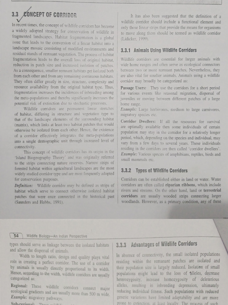 Corridors pdf earth sciences biology