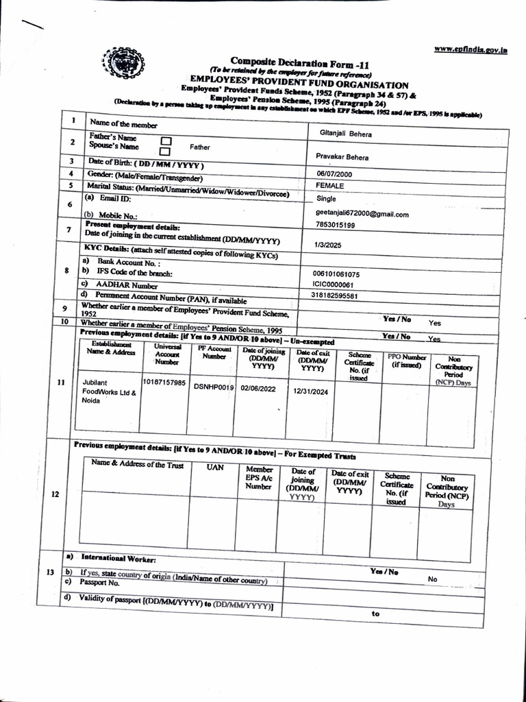 Composite Declaration Form-11 PDF | PDF