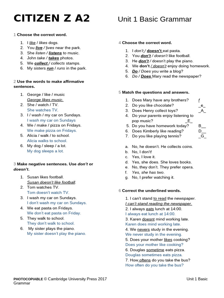 Basic Grammar Exercises A2 Level | PDF